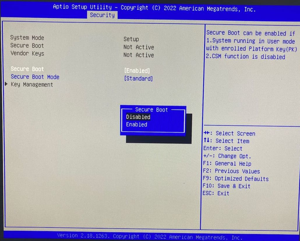 disabling Secure Boot in BIOS
